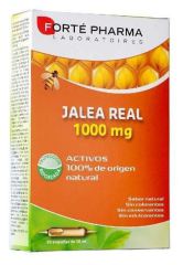 Royal Jelly 1000 gr 20 ampoules x 10 ml